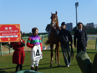 JRAジョッキー田辺裕信騎手応援サイト！　2012年12月16日　中山競馬場　